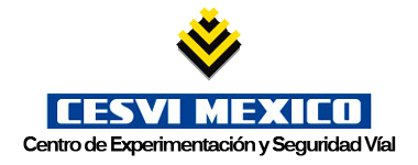 Cesvi